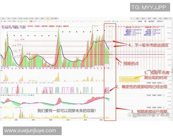 杭州攀岩队运营分析：成功经验与面临挑战的深度探讨