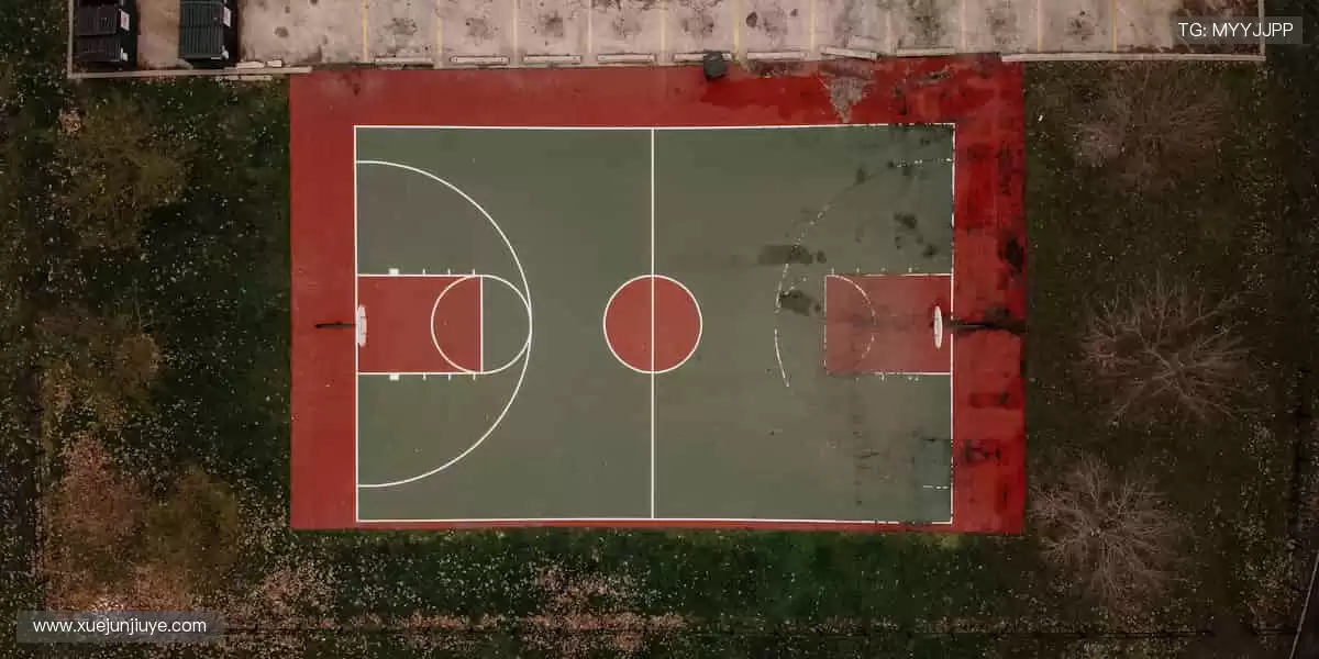 🎮 虚拟看台,弹幕狂欢,